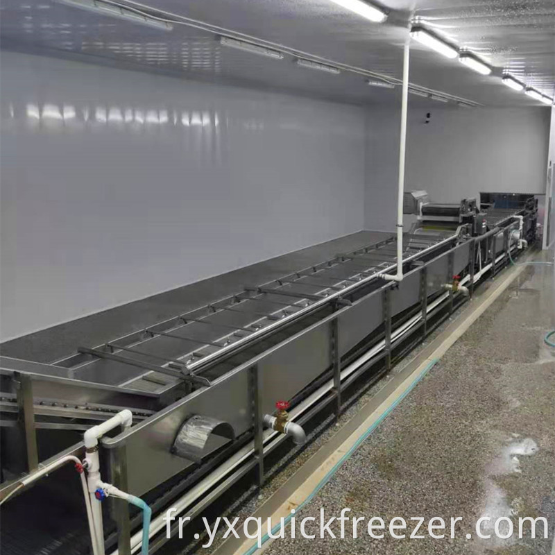 Fluidized Freezer